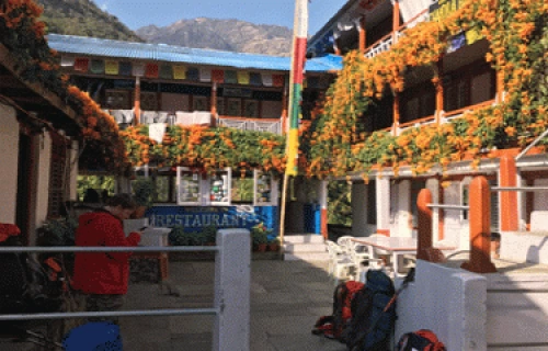 Detalles del trekking Ghorepani Poon hill