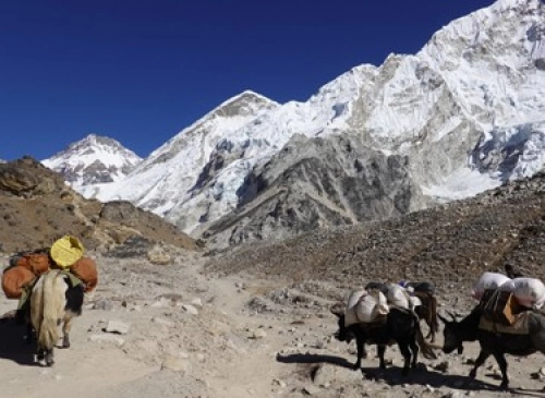 Trekking in Nepal