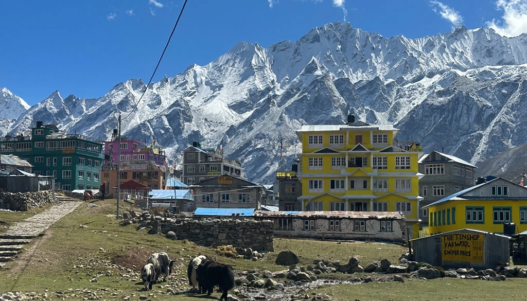 Langtang Gosainkunda Helambu Trekking