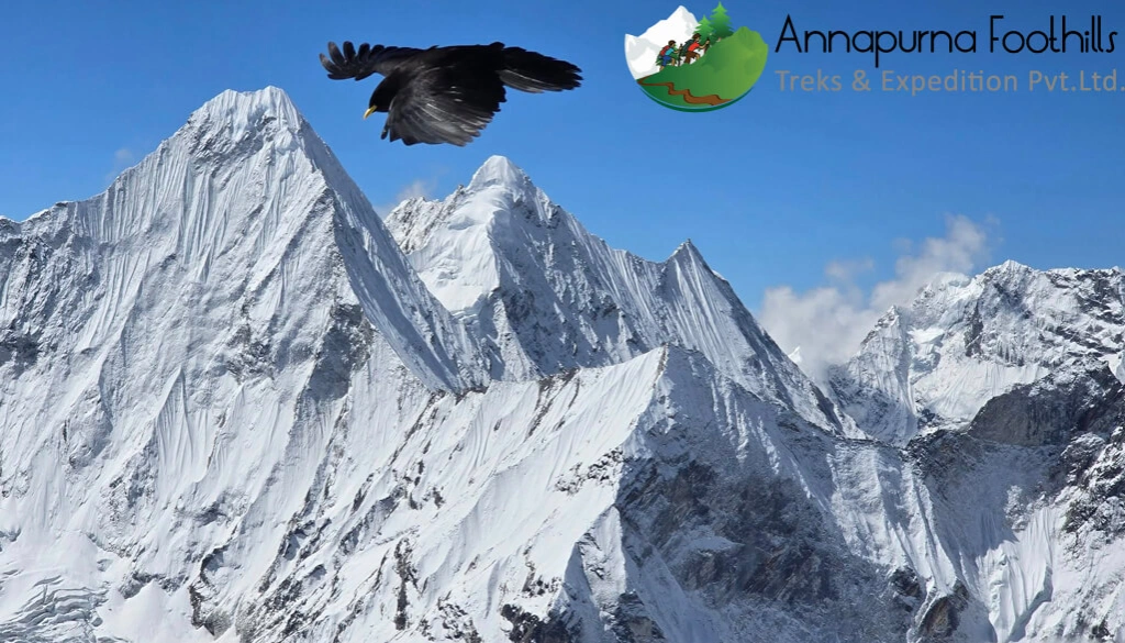 Island Peak and Ama Dablam Climbing Expedition