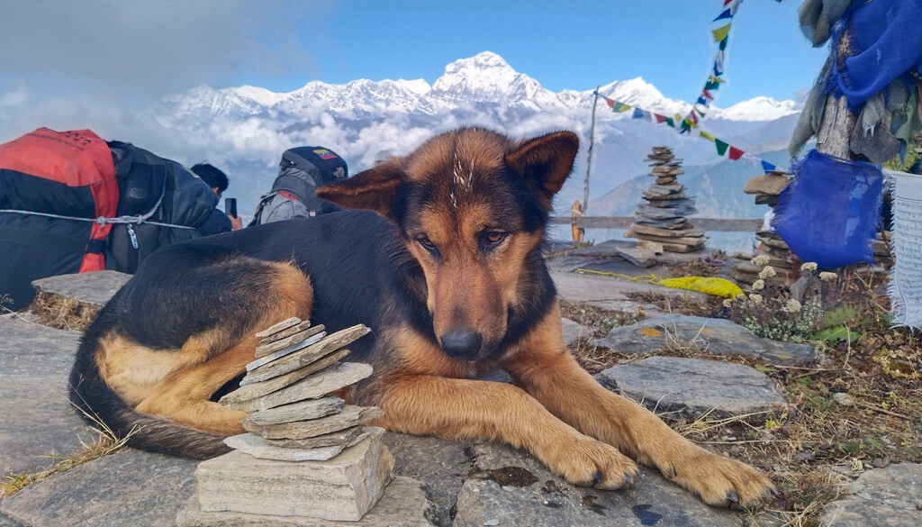 annapurnacircuittrekking