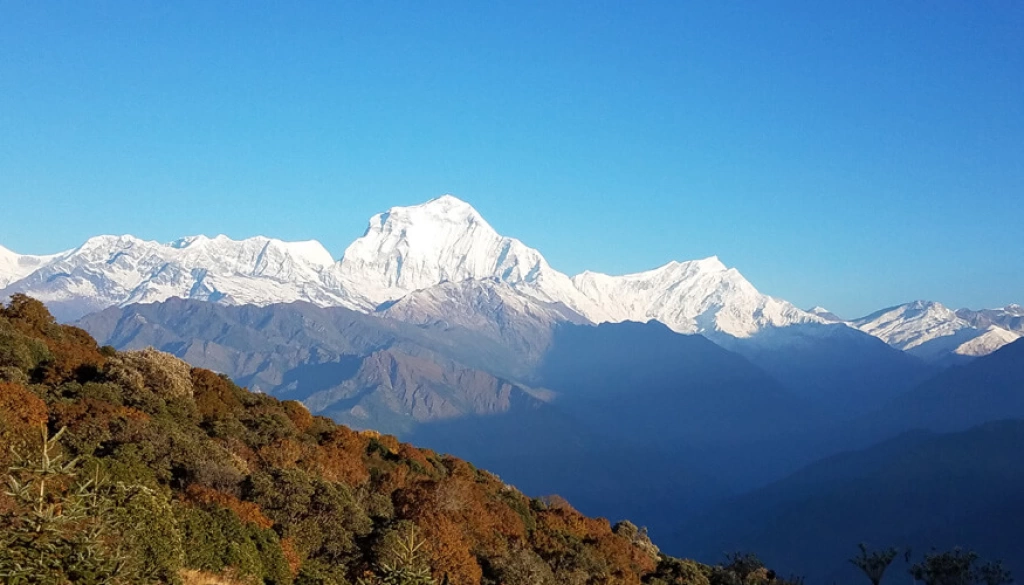 ghorepanipoonhilltrek