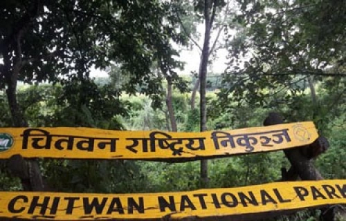 chitwanjunglesafari