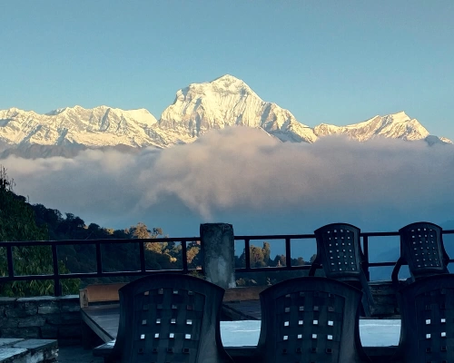 Delighting Dhaulagiri