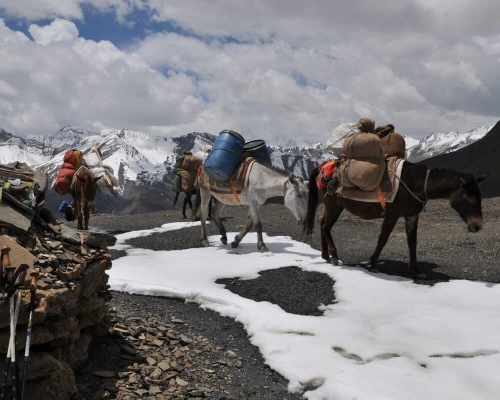 In Between Kang La Pass