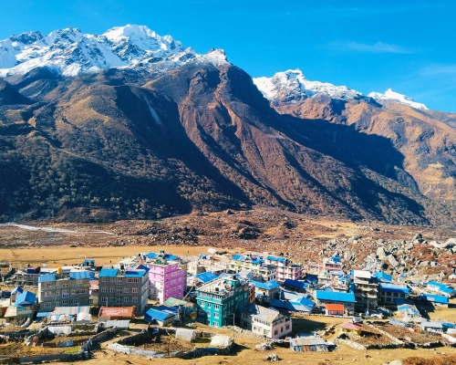 Modern Kyanjin Gumba !!