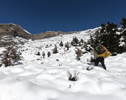 Streets Of Himalaya !!
