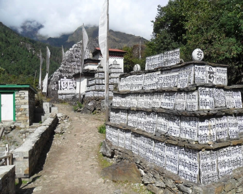 Well Adorned Mani Walls
